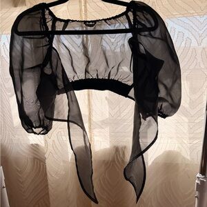 Sheer Black Crop Top with Puff Sleeves